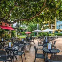 Отель Jewel Dunn's River Beach Resort & Spa, Curio Collection by Hilton детские мероприятия