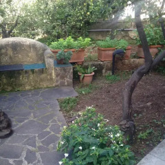 Отель Il Giardino Di Silvia Италия, Палермо - отзывы, цены и фото номеров - забронировать отель Il Giardino Di Silvia онлайн фото 4