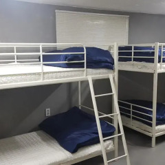 Seoul Forest Guesthouse - Hostel Кровать в женском общем номере с двухъярусной кроватью фото 2