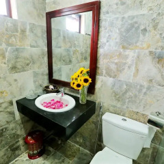 Отель Well-To-Do Villa 2* Улучшенный номер с различными типами кроватей фото 4