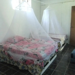 Garden Hostel комната для гостей фото 2