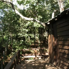 Отель Nature Lodge 2* Бунгало Эконом с различными типами кроватей фото 8