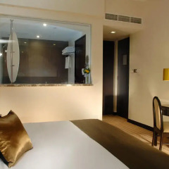 Peninsula Excelsior Hotel 4* Стандартный номер с различными типами кроватей фото 9