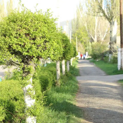 Отель Bed & Breakfast Nice Кыргызстан, Каракол - отзывы, цены и фото номеров - забронировать отель Bed & Breakfast Nice онлайн фото 10