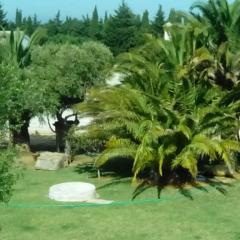 Отель El Olivar de Roche Viejo Испания, Кониль-де-ла-Фронтера - отзывы, цены и фото номеров - забронировать отель El Olivar de Roche Viejo онлайн приотельная территория