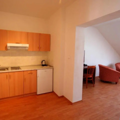 Отель Aparthotel Susa в номере