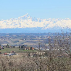 Отель Bed and Breakfast Cascina Beccaris Костиглиоле-д'Асти