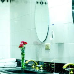 Отель Guacamaya Inn B&B Сан-Педро-Сула ванная