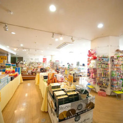 Kijima Kogen Hotel Хидзи развлечения