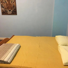 Hostel Zeleniy Dom Стандартный номер с разными типами кроватей фото 7