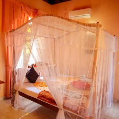 Отель Frangipani Motel 3* Номер Делюкс фото 5