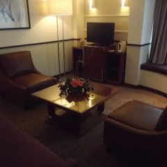 Terra Nostra Garden Hotel 4* Люкс повышенной комфортности с различными типами кроватей фото 5