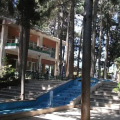 Arsan Hotel фото 4