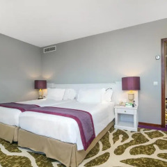 Отель Holiday Inn Porto Gaia 4* Стандартный номер с различными типами кроватей фото 6