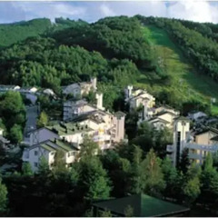 Отель Yongpyong Resort Dragon Valley Hotel Южная Корея, Пхёнчан - отзывы, цены и фото номеров - забронировать отель Yongpyong Resort Dragon Valley Hotel онлайн фото 7