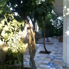 Отель Kenos Hostel Албания, Саранда - отзывы, цены и фото номеров - забронировать отель Kenos Hostel онлайн фото 3