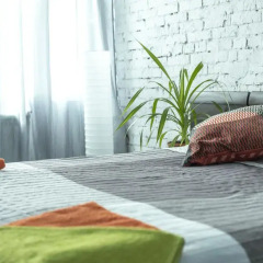 Хостел Bla Bla Hostel Rostov Стандартный номер разные типы кроватей фото 17