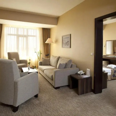 Plaza Hotel Diyarbakir Турция, Диярбакыр - отзывы, цены и фото номеров - забронировать отель Plaza Hotel Diyarbakir онлайн комната для гостей фото 2