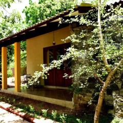 Отель Twin Blocks Nature Resort 2* Шале с различными типами кроватей фото 26