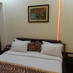 Raja Hotel комната для гостей фото 4