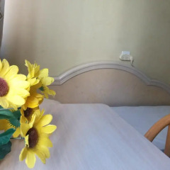 Momos Hostel Стандартный номер с различными типами кроватей фото 3