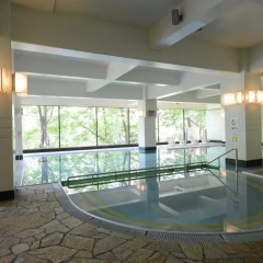 Hotel Harvest Kinugawa Никко бассейн фото 2