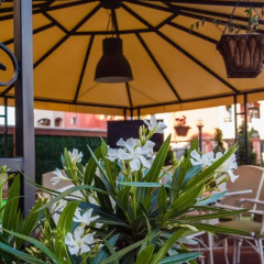 Отель Ivian Family Hotel Болгария, Равда - отзывы, цены и фото номеров - забронировать отель Ivian Family Hotel онлайн питание фото 3