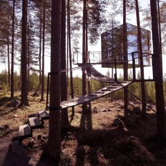 Tree Hotel детские мероприятия