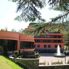 Отель Nairi SPA Resorts Армения, Анкаван - отзывы, цены и фото номеров - забронировать отель Nairi SPA Resorts онлайн фото 3