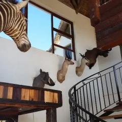 Отель Harmony Game Lodge Южная Африка, Аддо - отзывы, цены и фото номеров - забронировать отель Harmony Game Lodge онлайн помещение для мероприятий