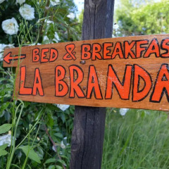 Отель La Branda Италия, Шампорше - отзывы, цены и фото номеров - забронировать отель La Branda онлайн приотельная территория