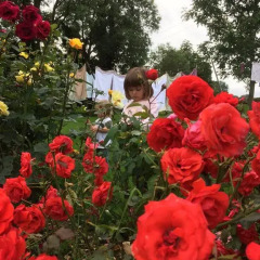 Отель Bunratty Ashgrove House Bed & Breakfast фото 4