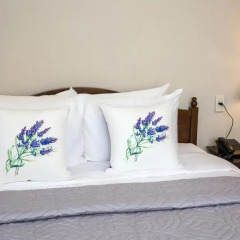 Bich Dao Boutique Hotel 2* Номер Делюкс фото 4