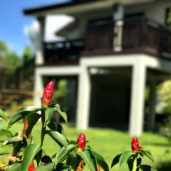 Отель The Hip Resort @ Khao Lak 3* Вилла с различными типами кроватей фото 4