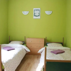 Hostel Mamas&Papas Стандартный номер с 2 отдельными кроватями фото 3