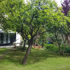 Отель Nel Giardino degli Agrumi Италия, Палермо - отзывы, цены и фото номеров - забронировать отель Nel Giardino degli Agrumi онлайн фото 3