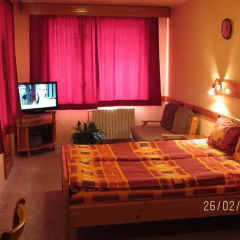 Family Hotel Savov 2* Стандартный номер фото 4