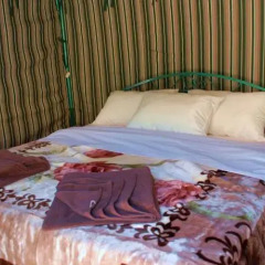 Отель Little Petra Bedouin Camp Иордания, Петра - отзывы, цены и фото номеров - забронировать отель Little Petra Bedouin Camp онлайн в номере