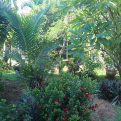 Отель Trust Homestay Villa фото 6