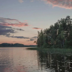 Гостиница Country House Lesnie Dali фото 3