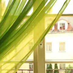 Отель Pogo Hostel Литва, Вильнюс - 14 отзывов об отеле, цены и фото номеров - забронировать отель Pogo Hostel онлайн комната для гостей фото 5