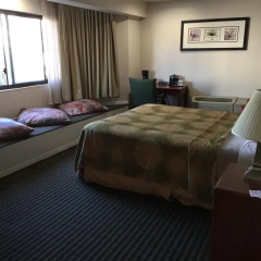 Отель Buena Vista Motor Inn 2* Стандартный номер с различными типами кроватей фото 19