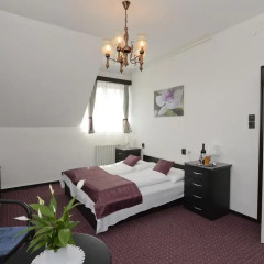 Budai Hotel 3* Стандартный номер с различными типами кроватей фото 9