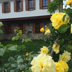 Отель Efes Konaklari Торбали фото 3