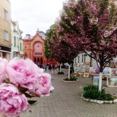 City Center Hostel