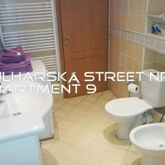 Отель Holiday Apartments Чехия, Карловы Вары - отзывы, цены и фото номеров - забронировать отель Holiday Apartments онлайн ванная