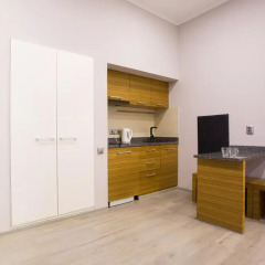 Апартаменты Pushkinskaya Apartments Стандартный номер фото 4