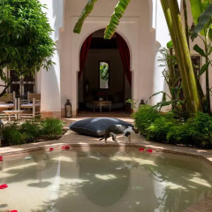 Отель Le Riad Berbere Марокко, Марракеш - отзывы, цены и фото номеров - забронировать отель Le Riad Berbere онлайн фото 3