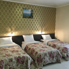 Гостиница Guest House Golden Kids Стандартный номер с различными типами кроватей фото 3