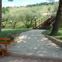 Отель Agriturismo Casale Il Gallo Bianco Озимо фото 10